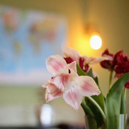 Bed And Breakfast De Grote Byvanck Westervoort Esterno foto